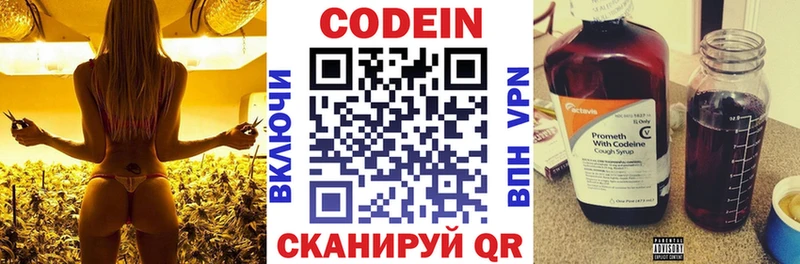 Купить закладки  Нижние Серги  Кодеин напиток Lean (лин) 