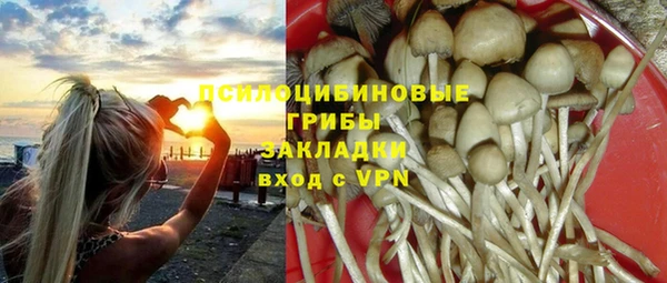 первитин Каменка