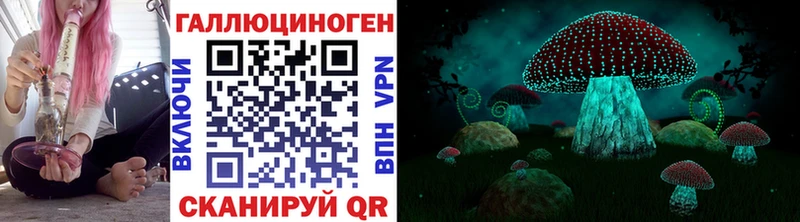 Псилоцибиновые грибы Psilocybine cubensis  Купить  Нижние Серги 